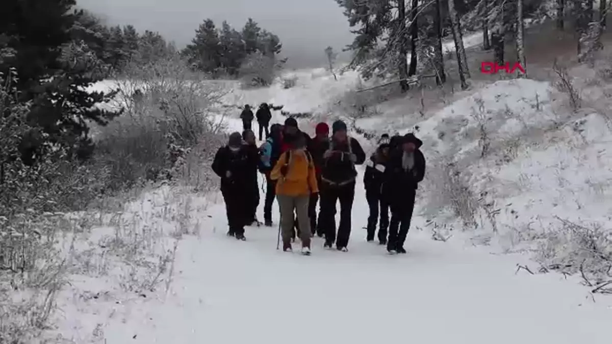 Doğaseverler Bozayı ile Karşılaştı