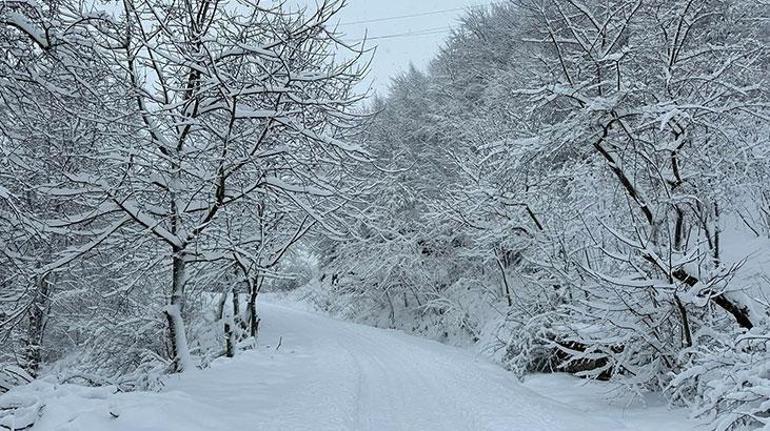 Ordu'da okul tatili